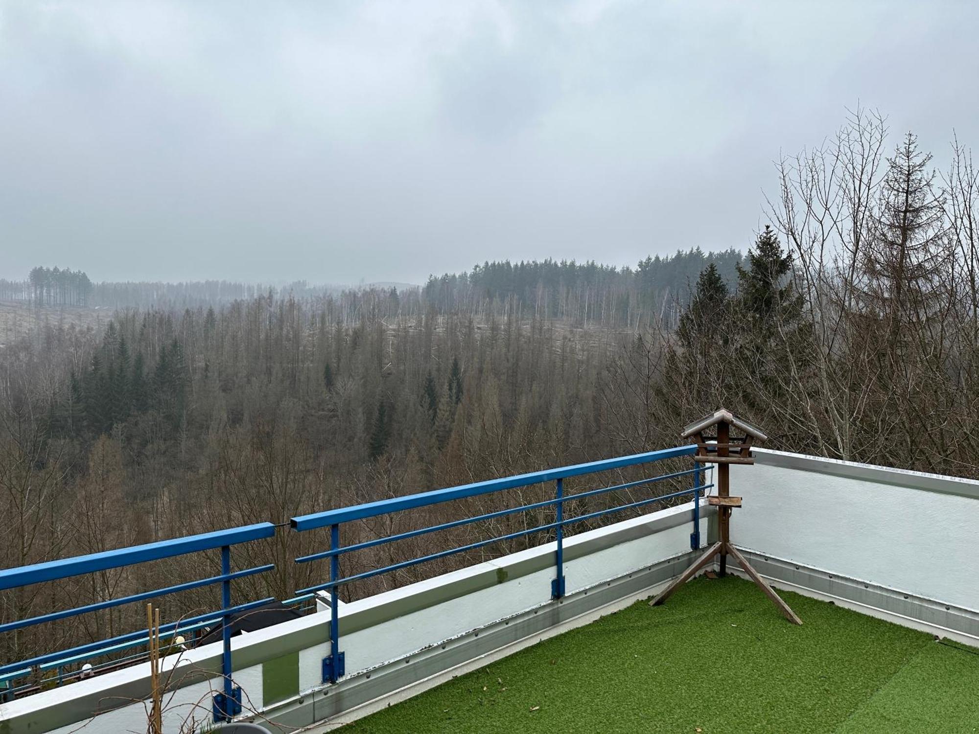Ferienwohnung Harz #4, Pool, Sauna, Wlan Браунлаге Экстерьер фото